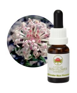 Slender Rice Flower, 15 ml